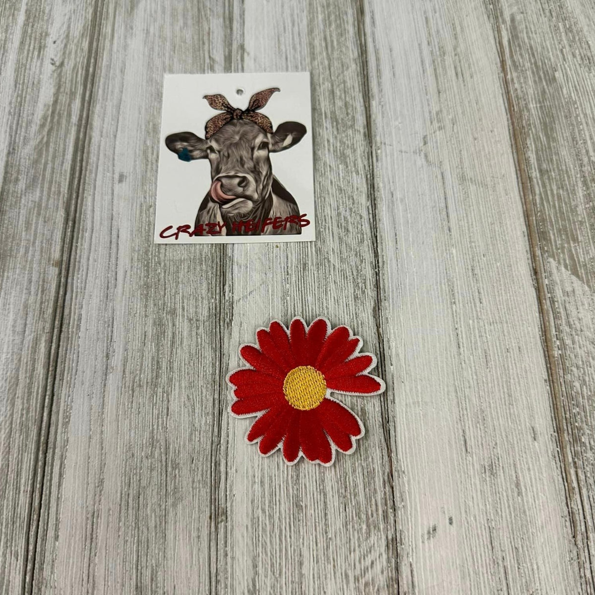 Patches-Iron on (#1)