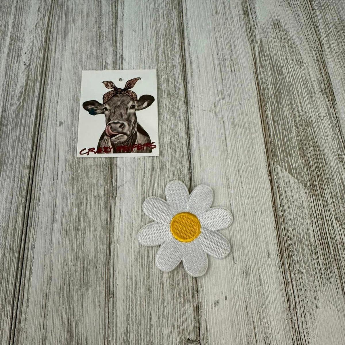 Patches-Iron on (#1)