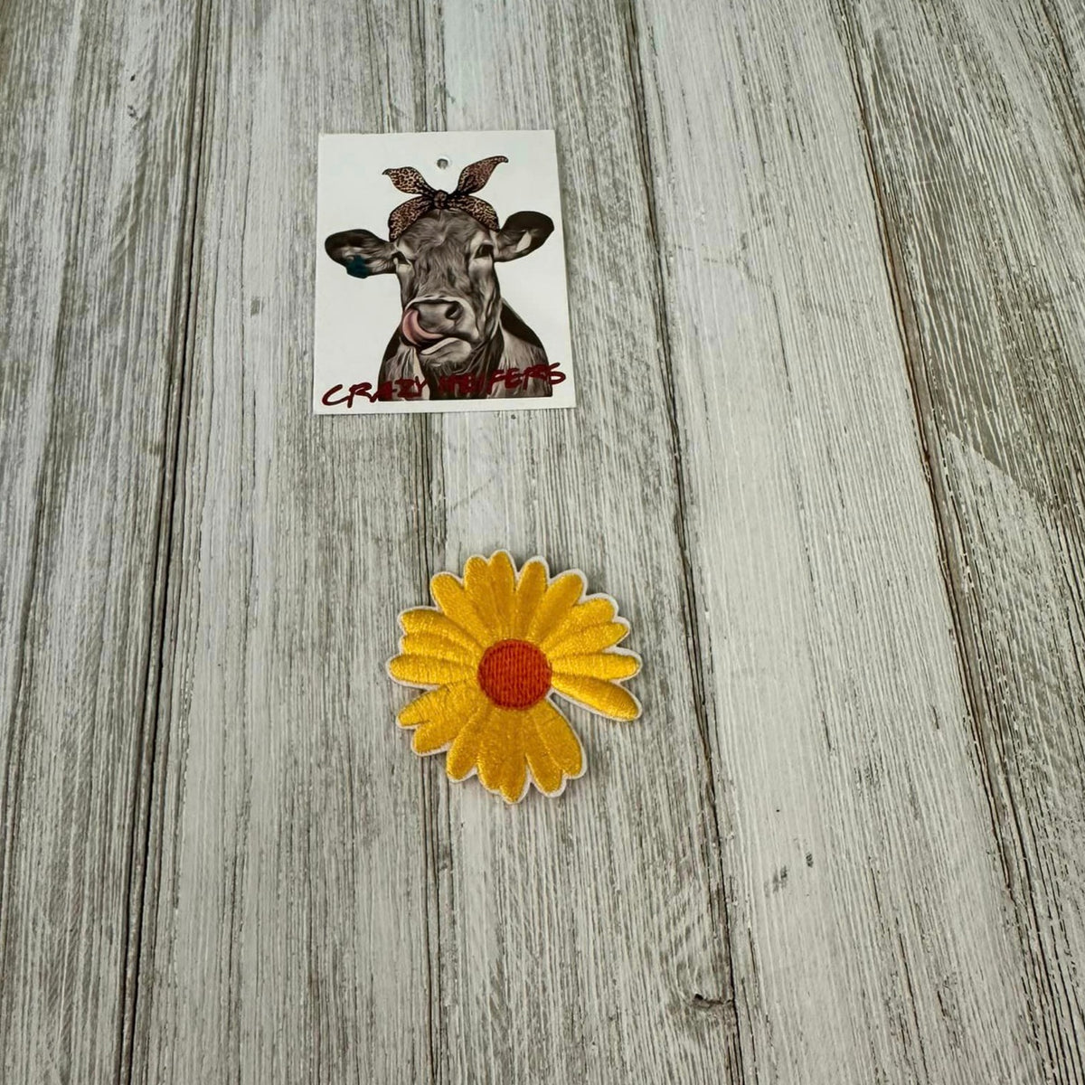 Patches-Iron on (#2)