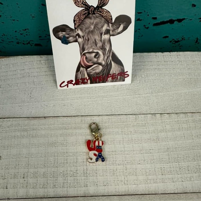 Clip-on Charms Gold Tone