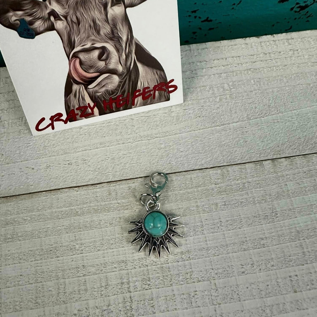 Clip-on Charms Silver Tone V2