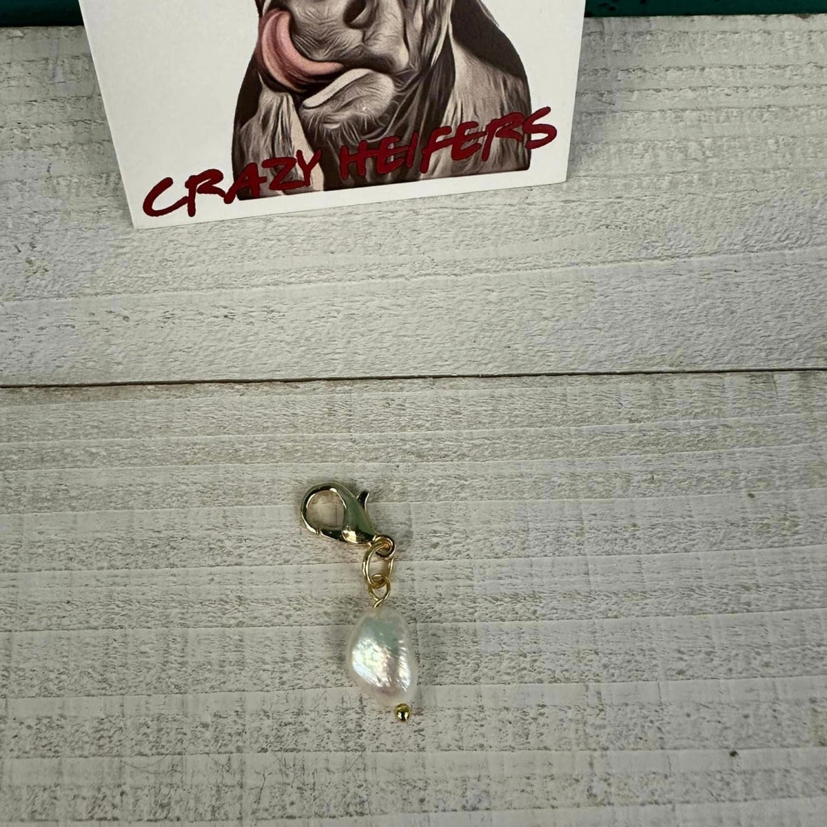 Clip-on Charms Gold Tone V2