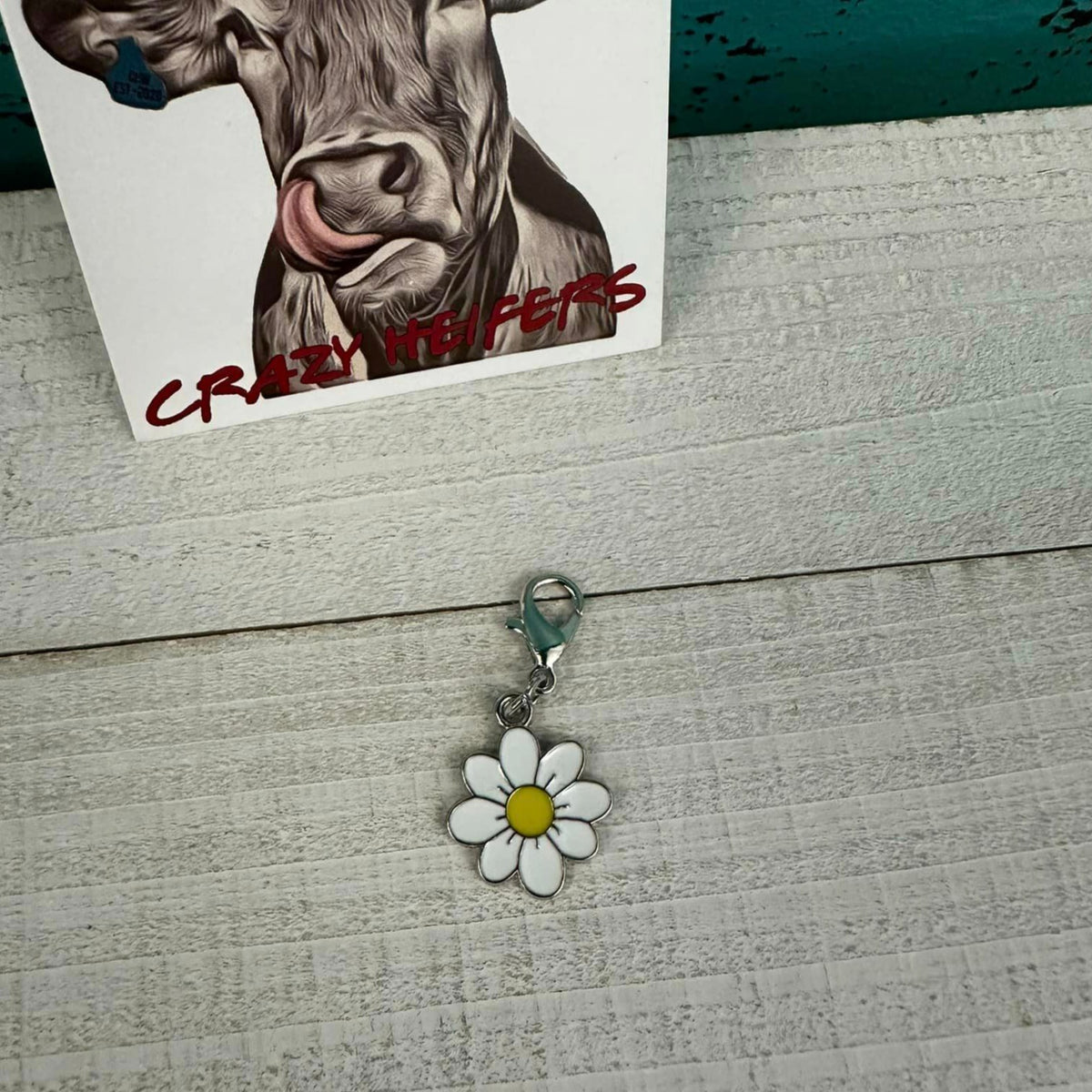 Clip-on Charms Silver Tone V2