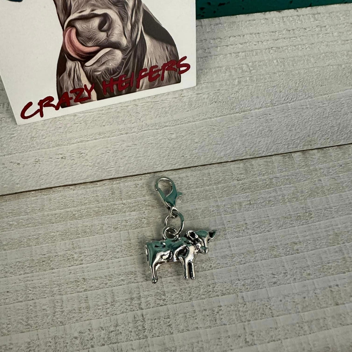 Clip-on Charms Silver Tone V2