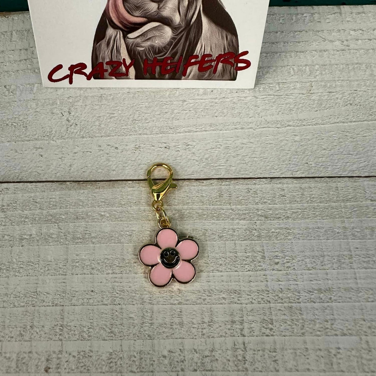 Clip-on Charms Gold Tone V2