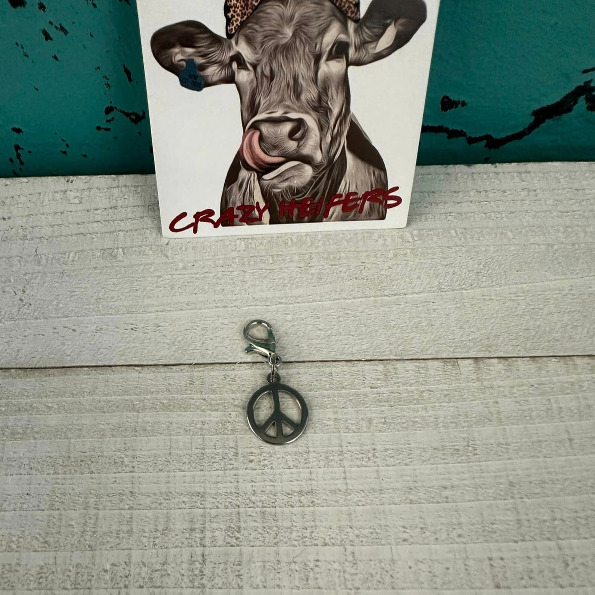 Clip-on Charms Silver Tone V3