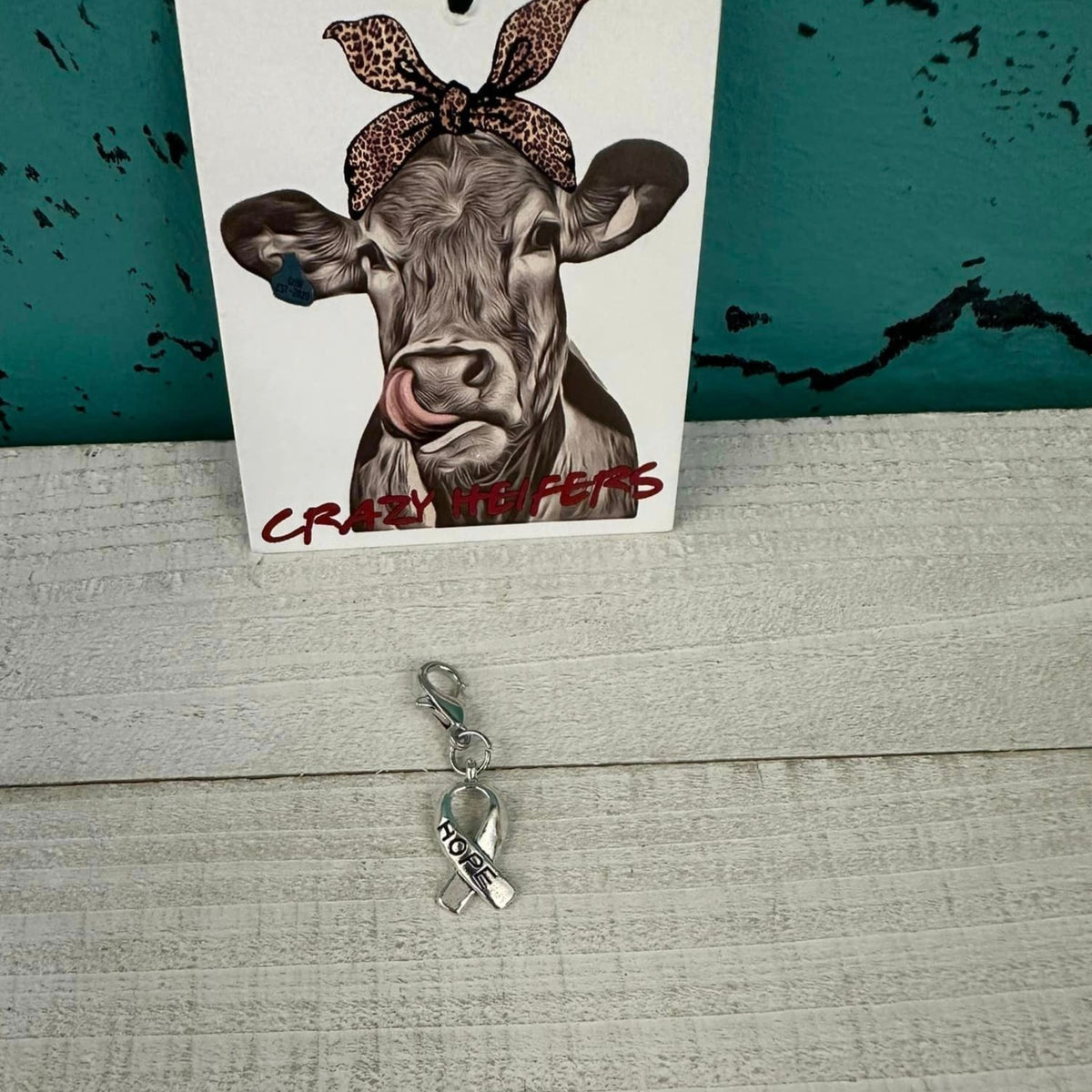 Clip-on Charms Silver Tone V3