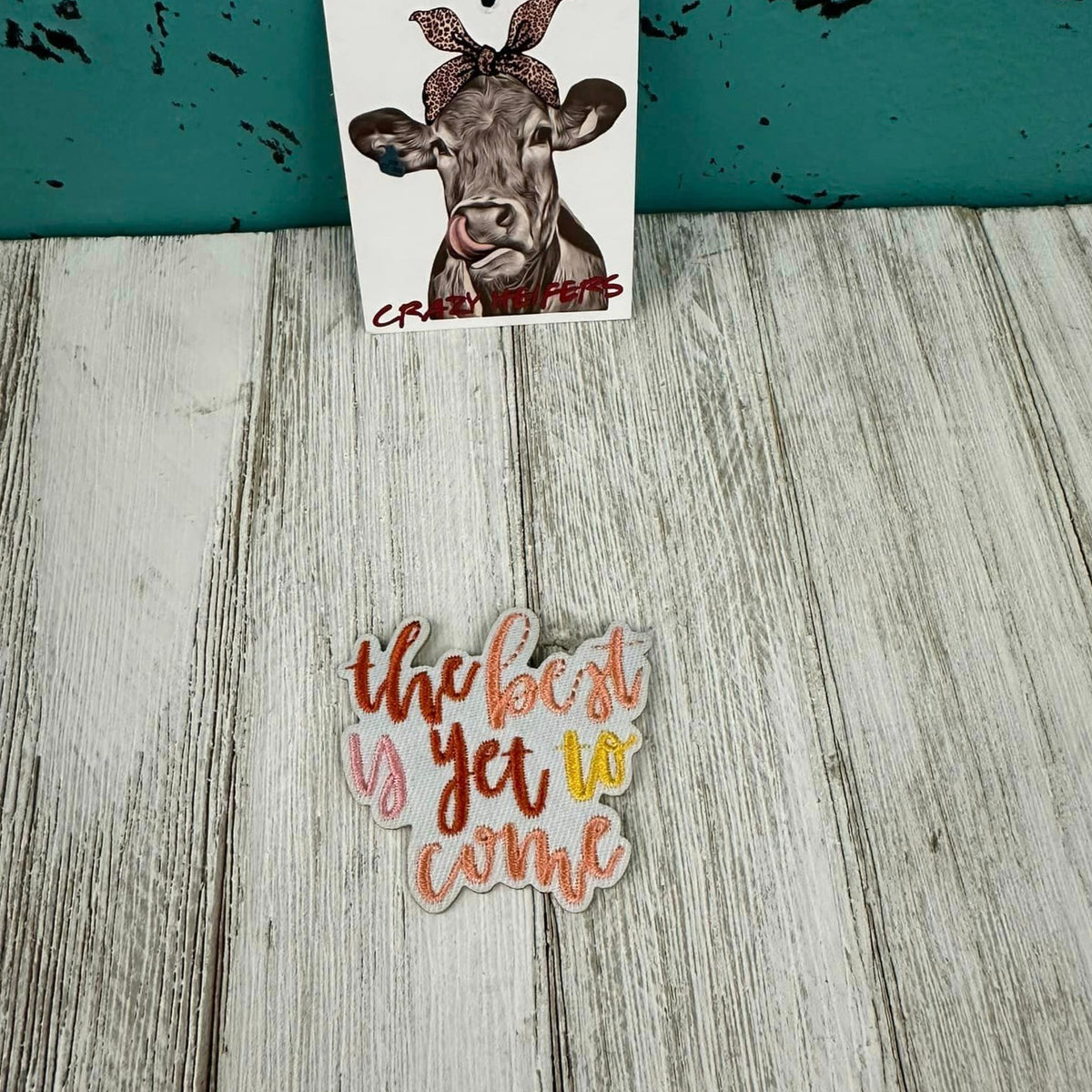 Patches-Iron on (#4)