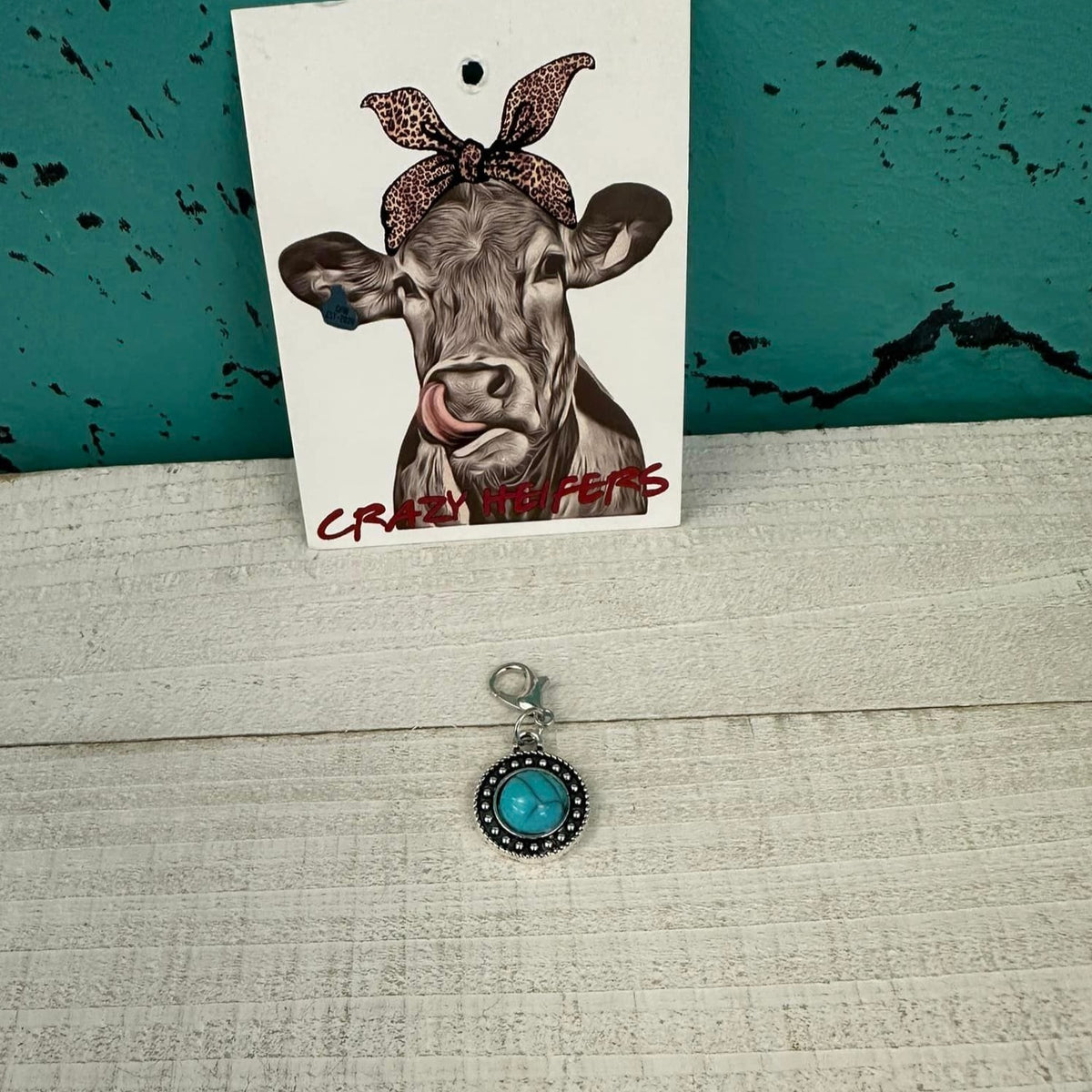 Clip-on Charms Silver Tone V3