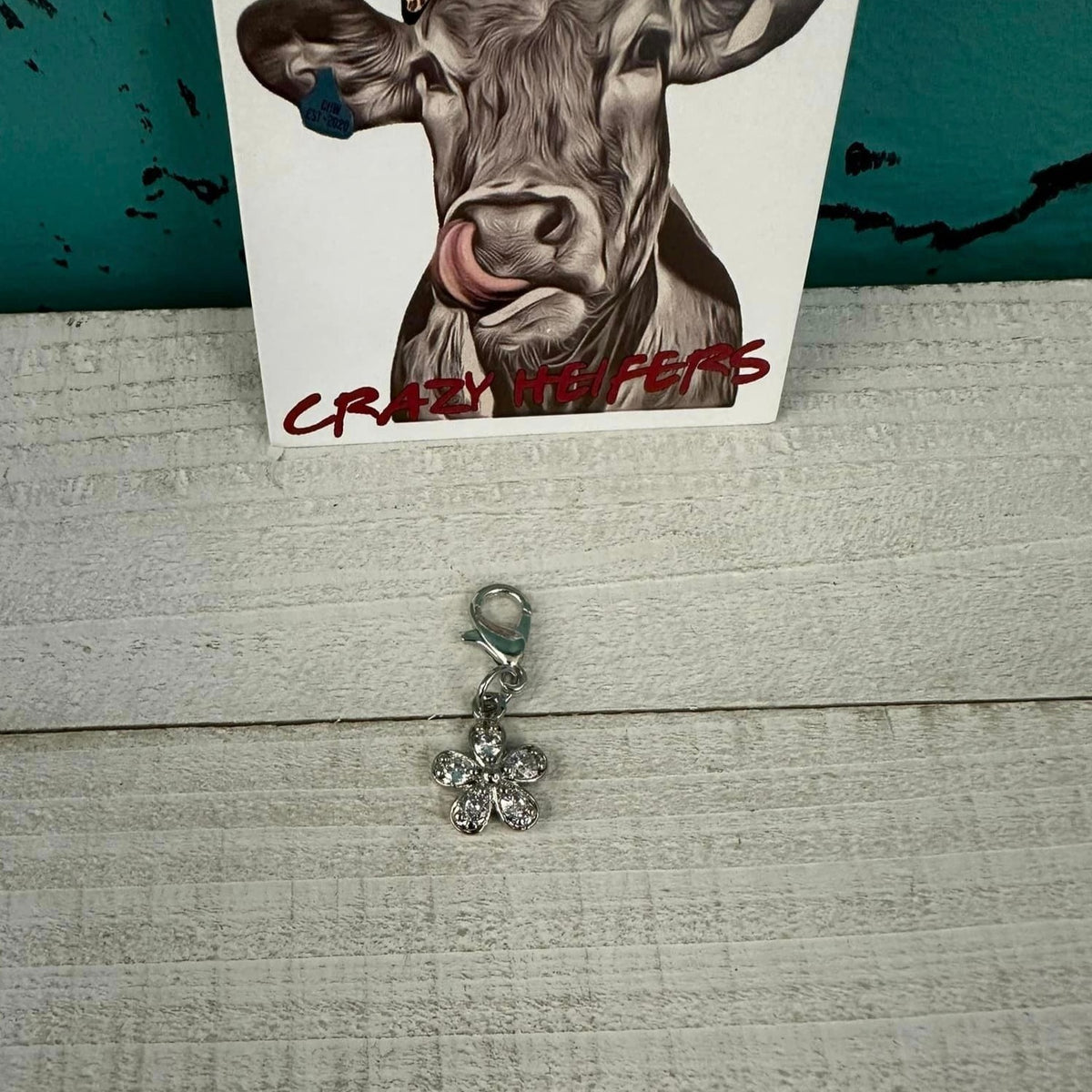 Clip-on Charms Silver Tone V3