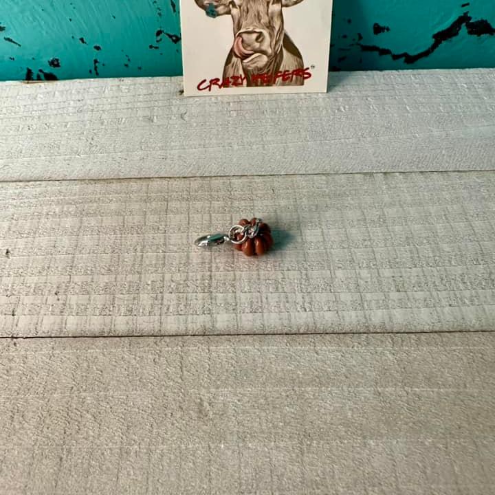 Clip-on Charms Silver Tone V4