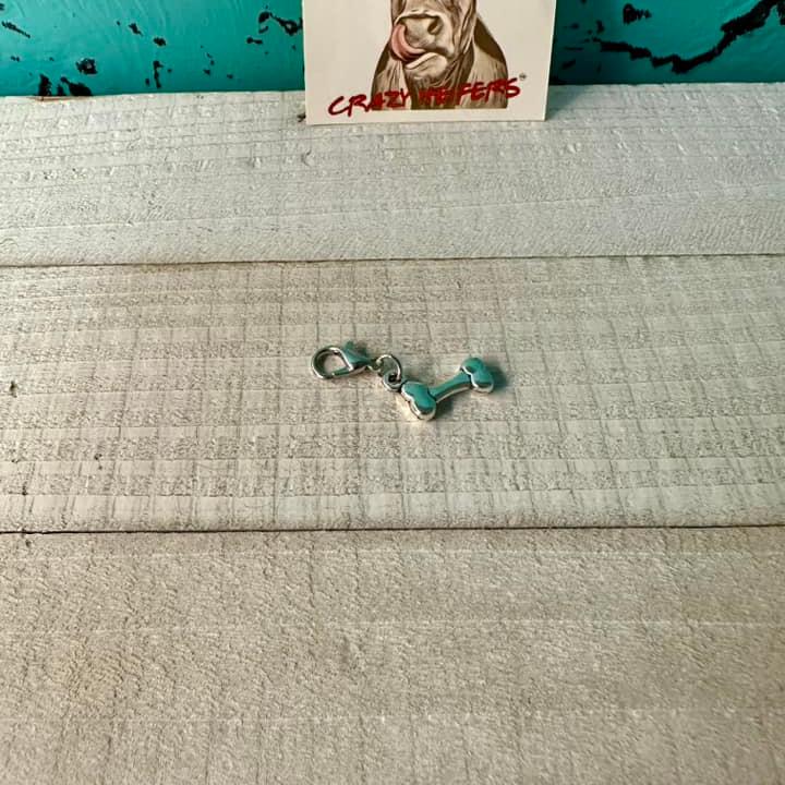 Clip-on Charms Silver Tone V4