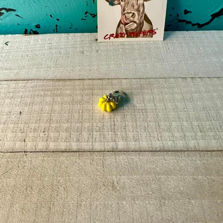 Clip-on Charms Silver Tone V4