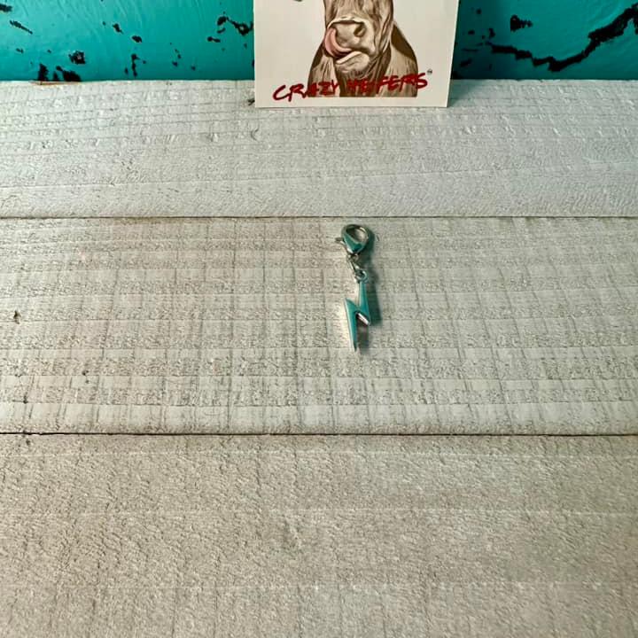 Clip-on Charms Silver Tone V4