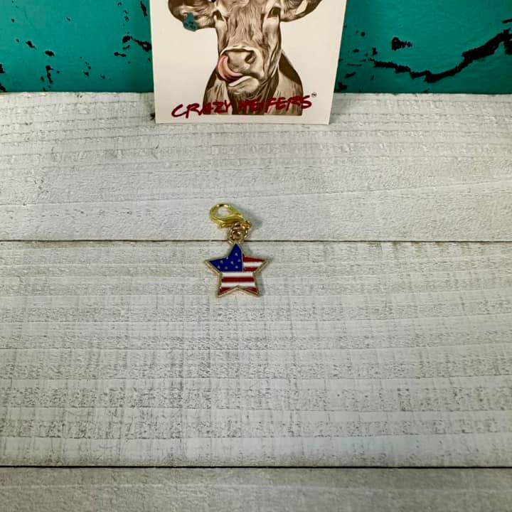 Clip-on Charms Gold Tone V4