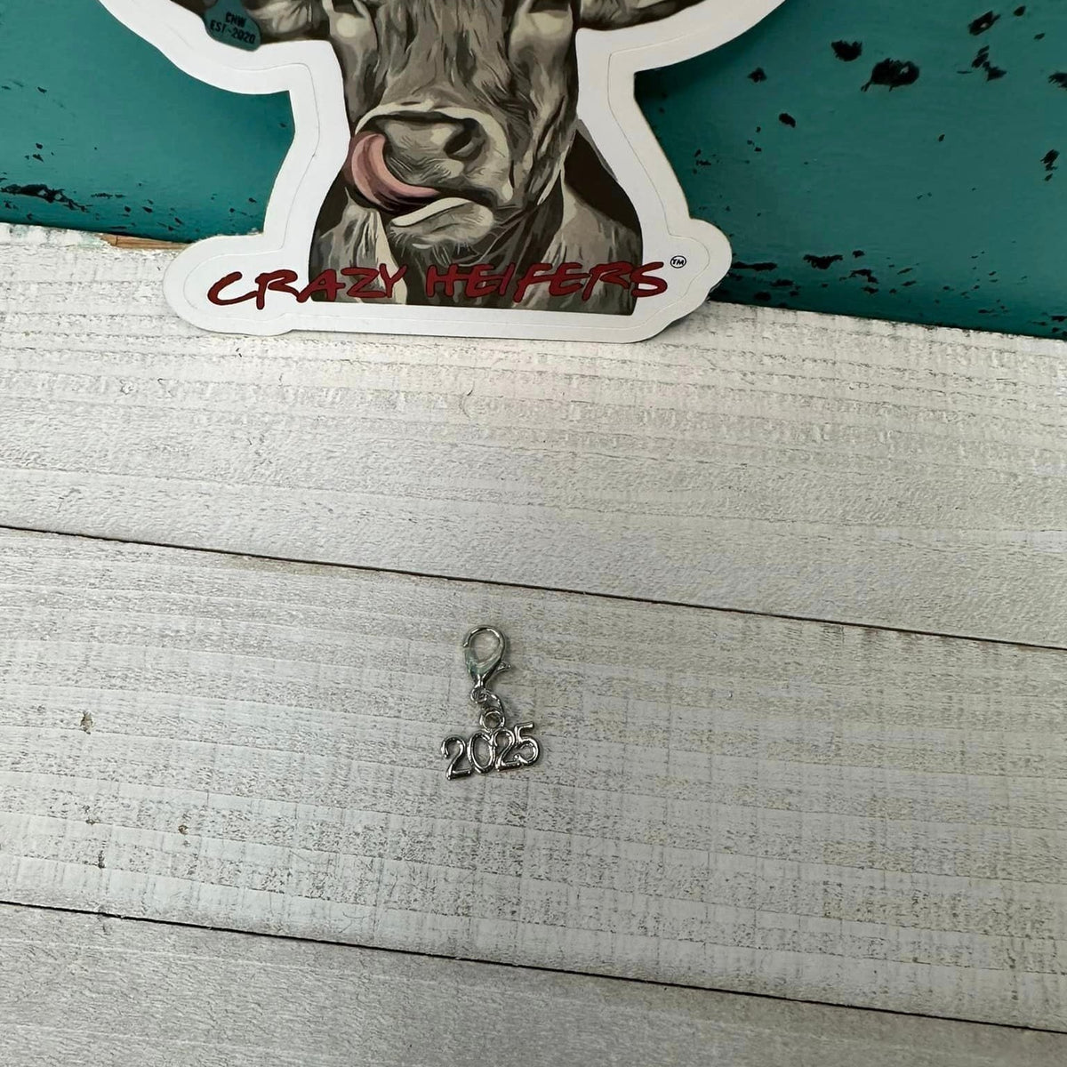 Clip-on Charms Silver Tone V5