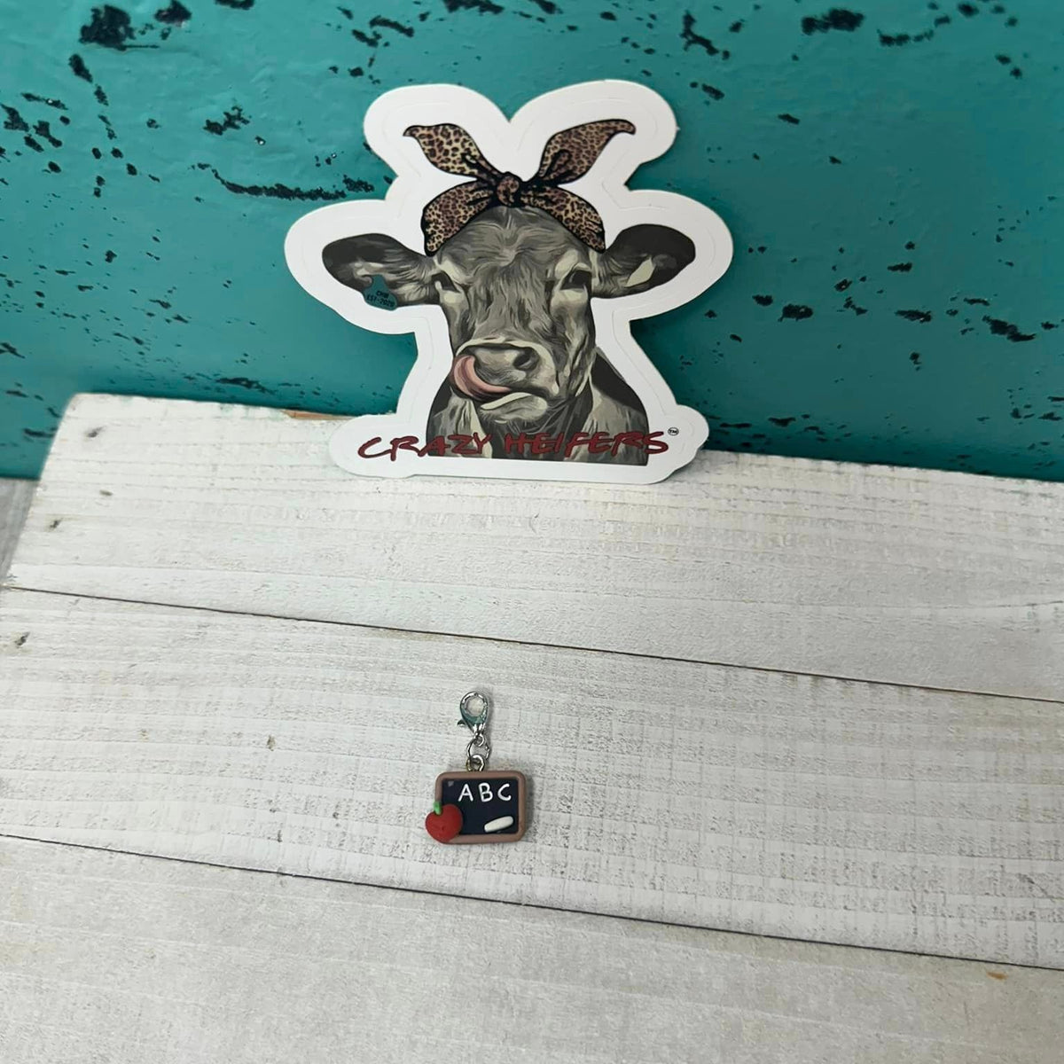 Clip-on Charms Silver Tone V5