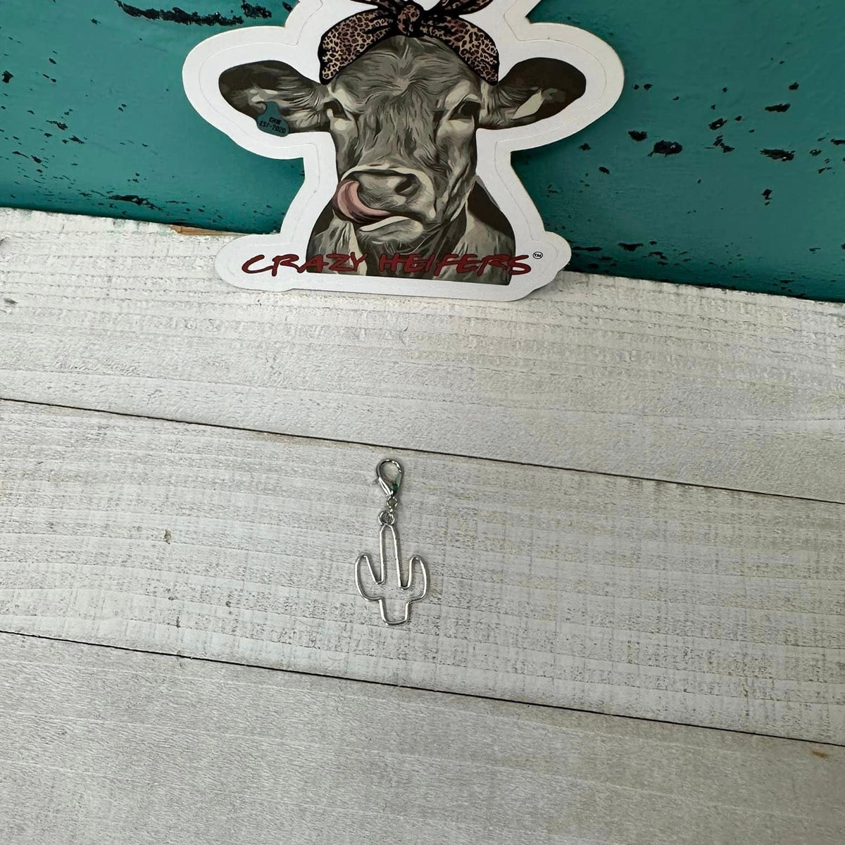 Clip-on Charms Silver Tone V5