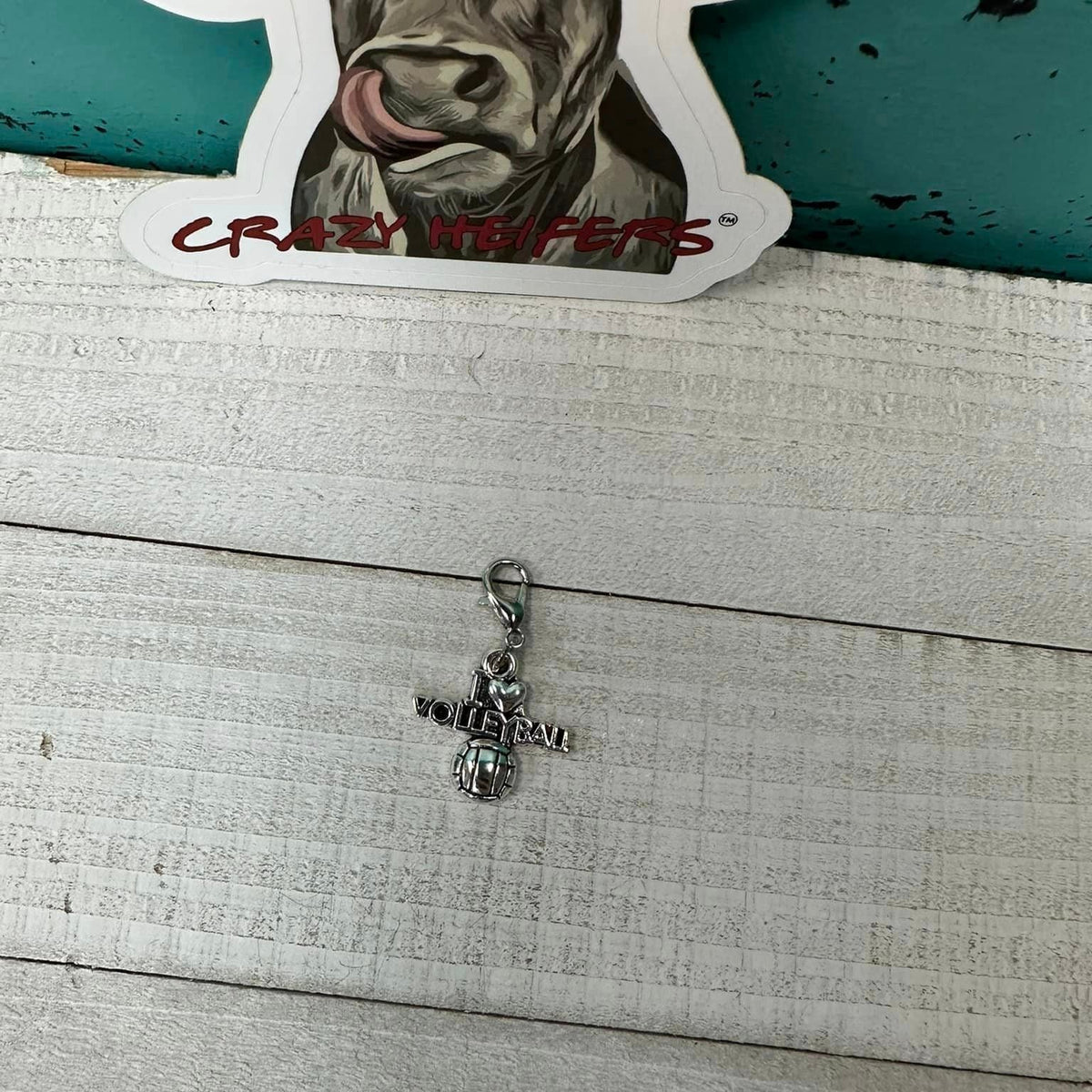 Clip-on Charms Silver Tone V5