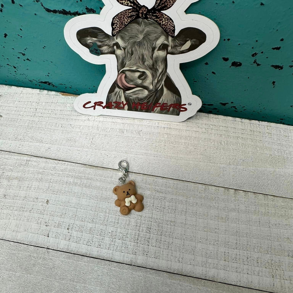 Clip-on Charms Silver Tone V5