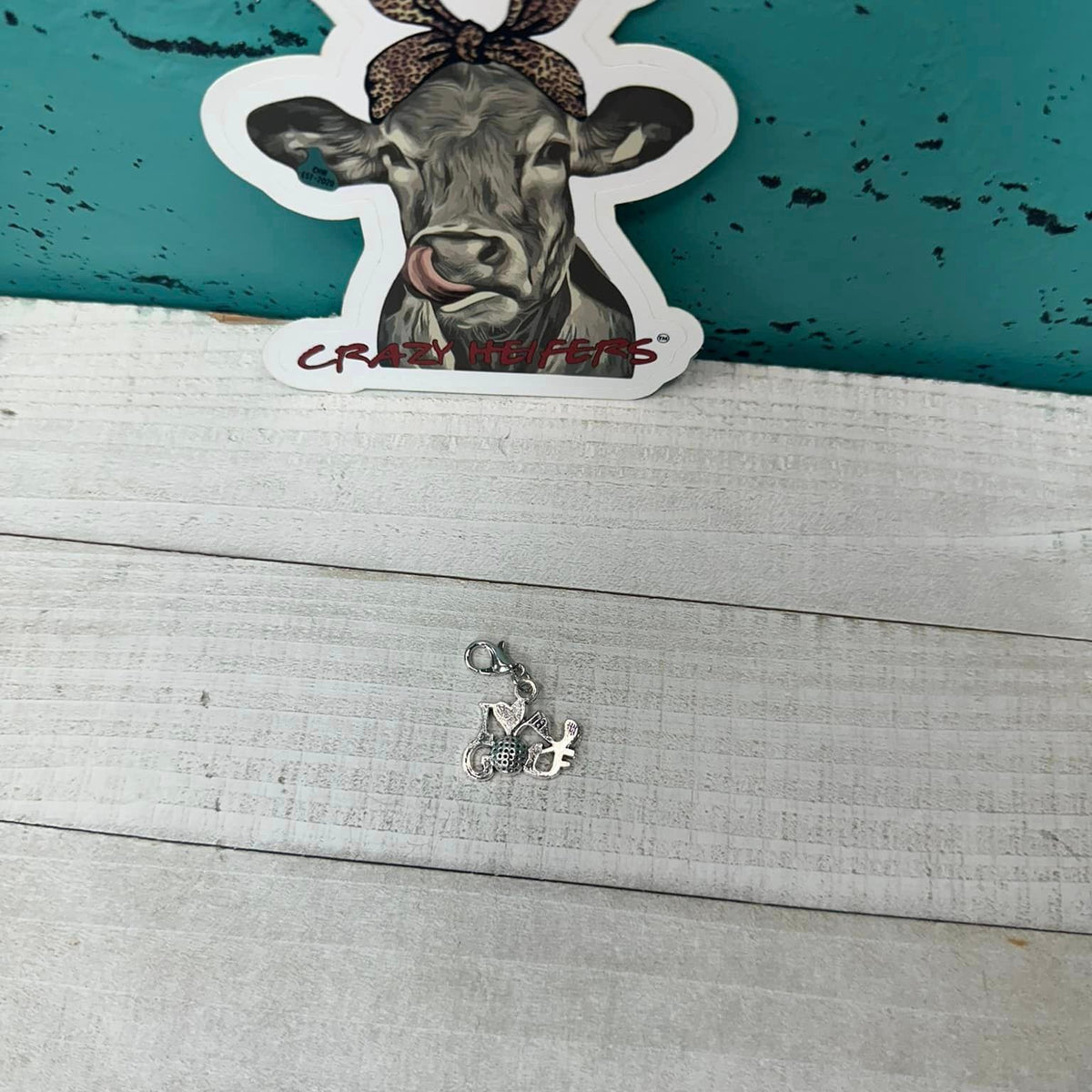 Clip-on Charms Silver Tone V5