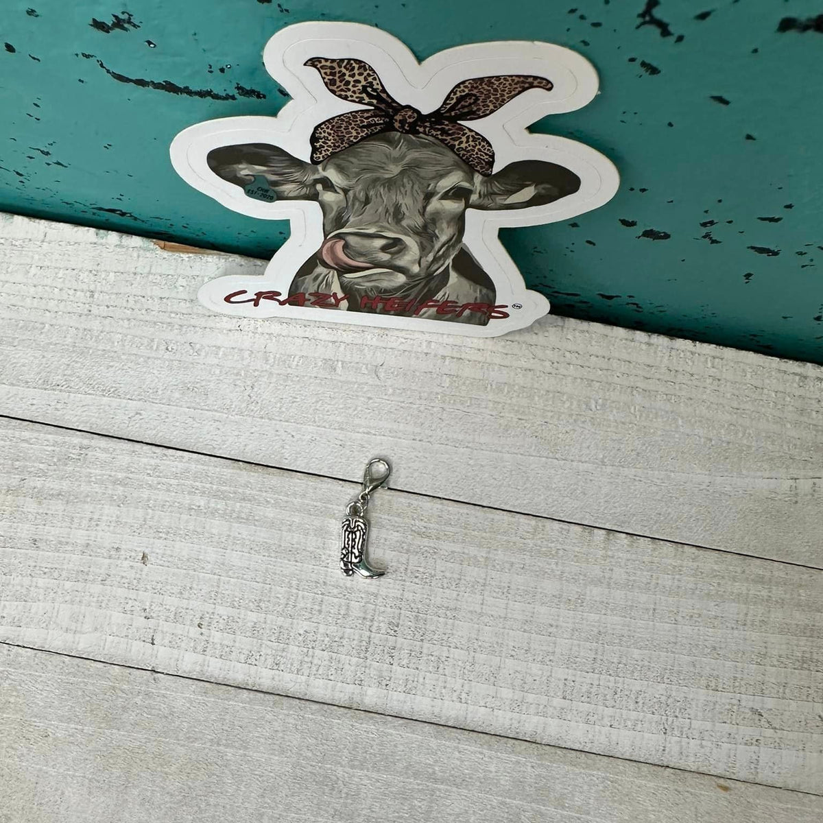 Clip-on Charms Silver Tone V5