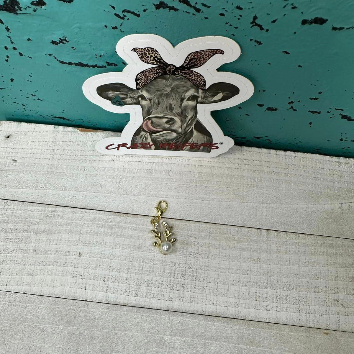 Clip-on Charms Christmas