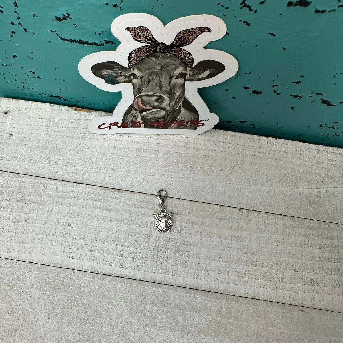 Clip-on Charms Silver Tone V5