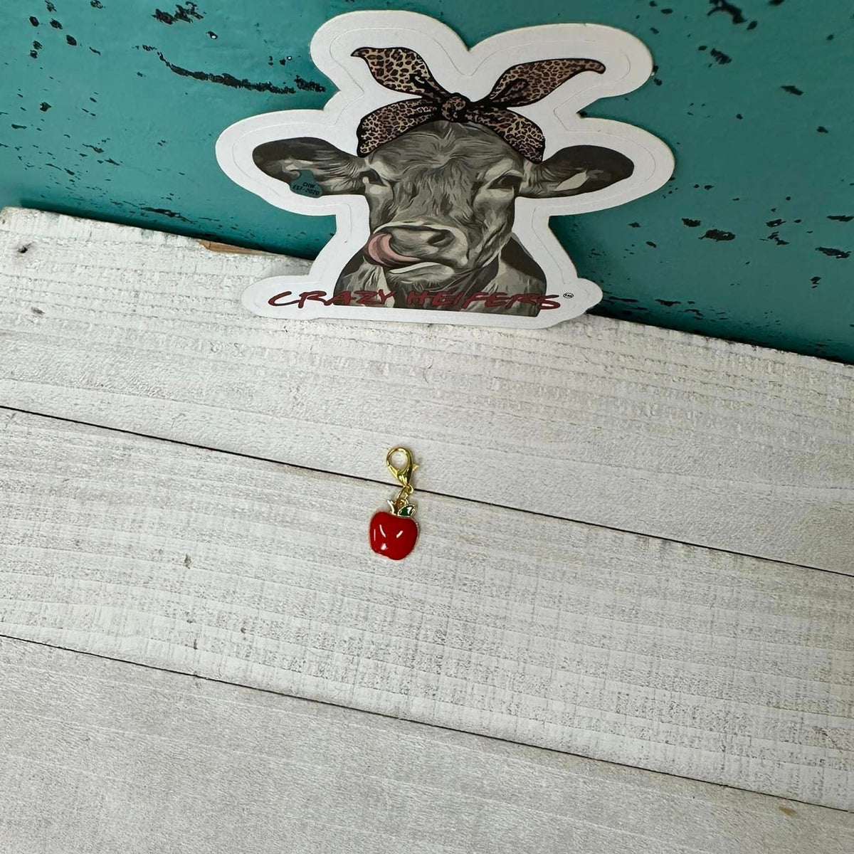 Clip-on Charms Gold Tone V5