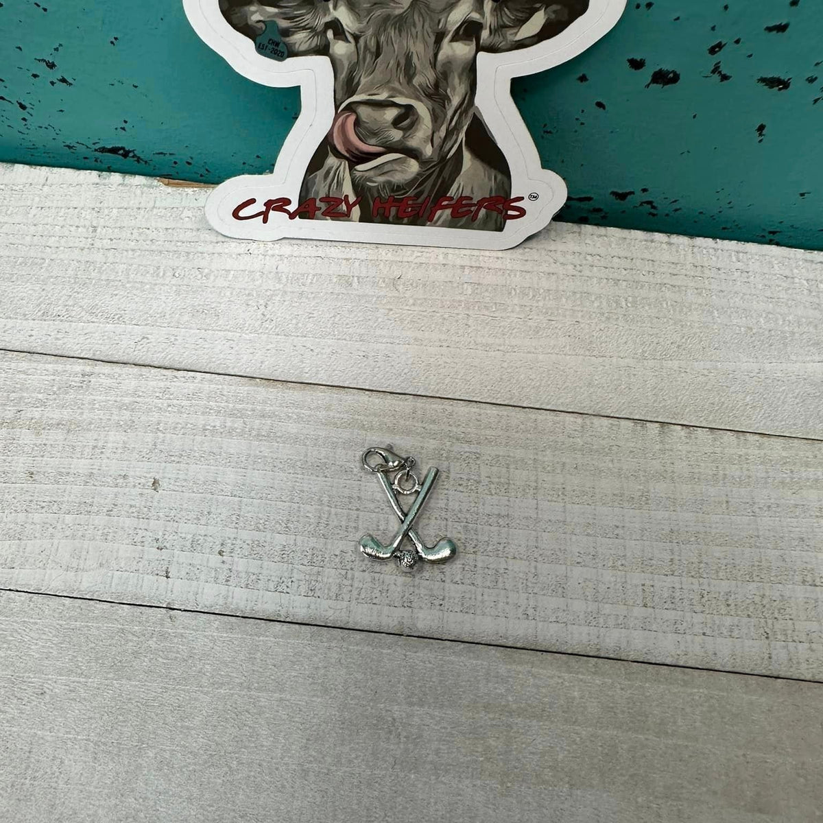 Clip-on Charms Silver Tone V5