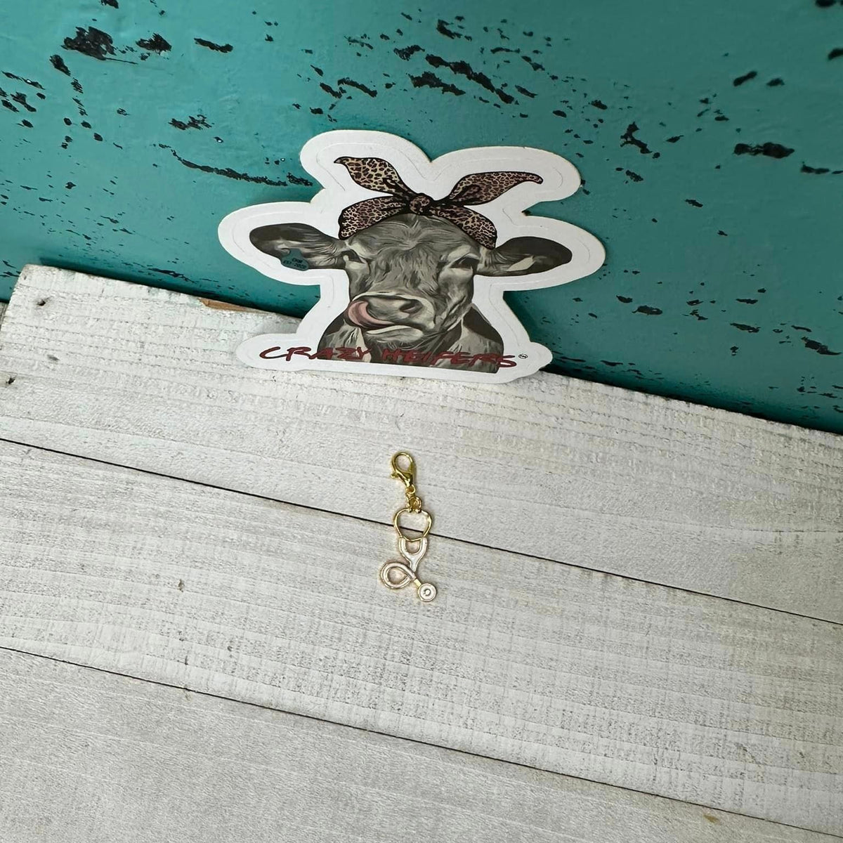 Clip-on Charms Gold Tone V5