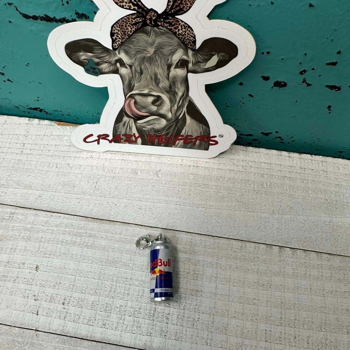 Clip-on Charms Silver Tone V5