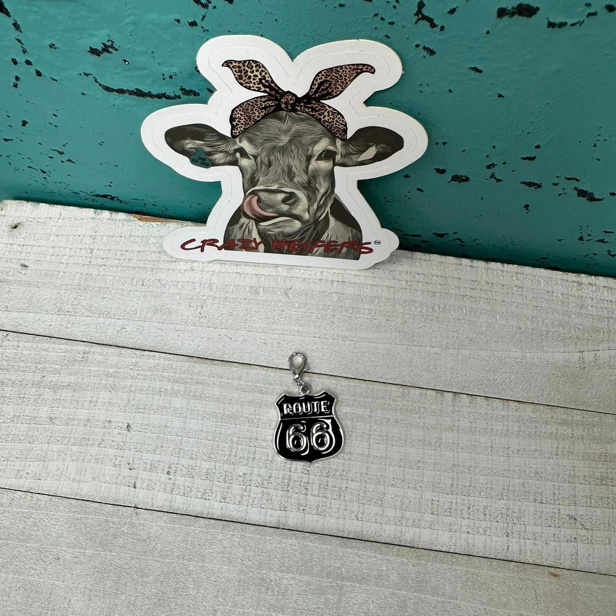 Clip-on Charms Silver Tone V5