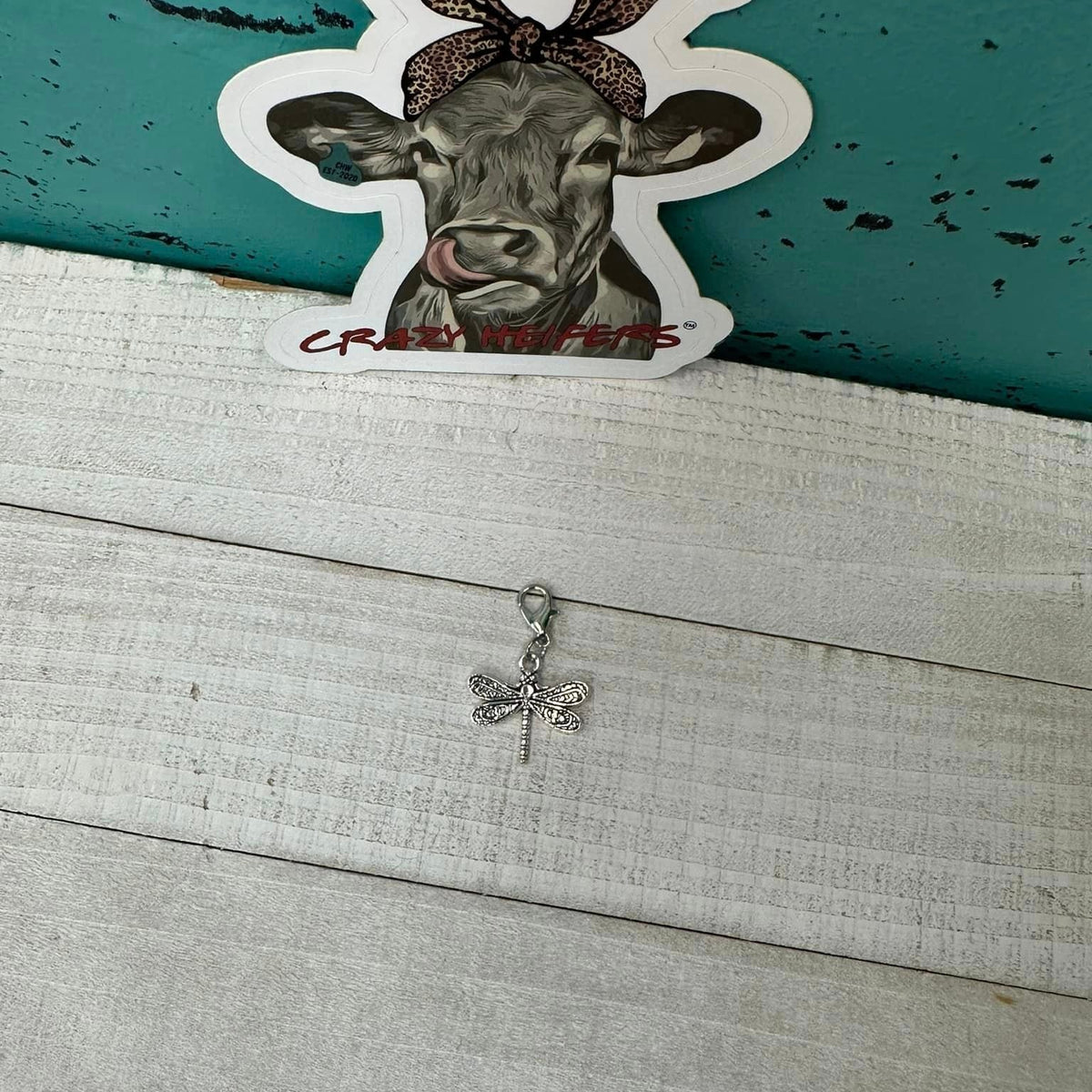 Clip-on Charms Silver Tone V5