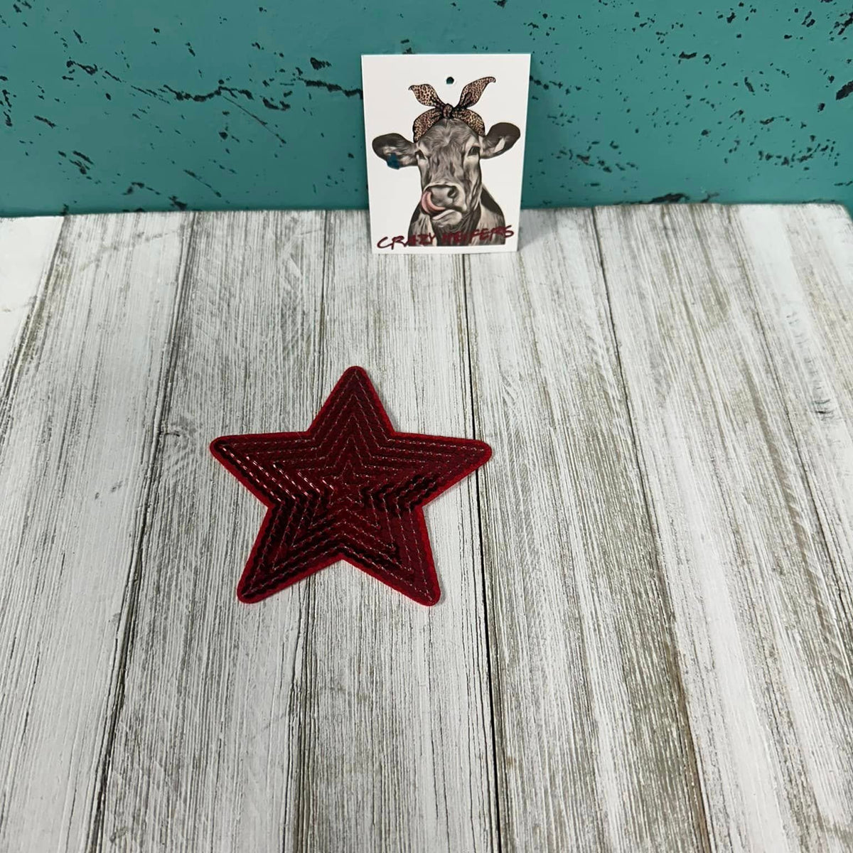 Sequin Patches-Iron on V2