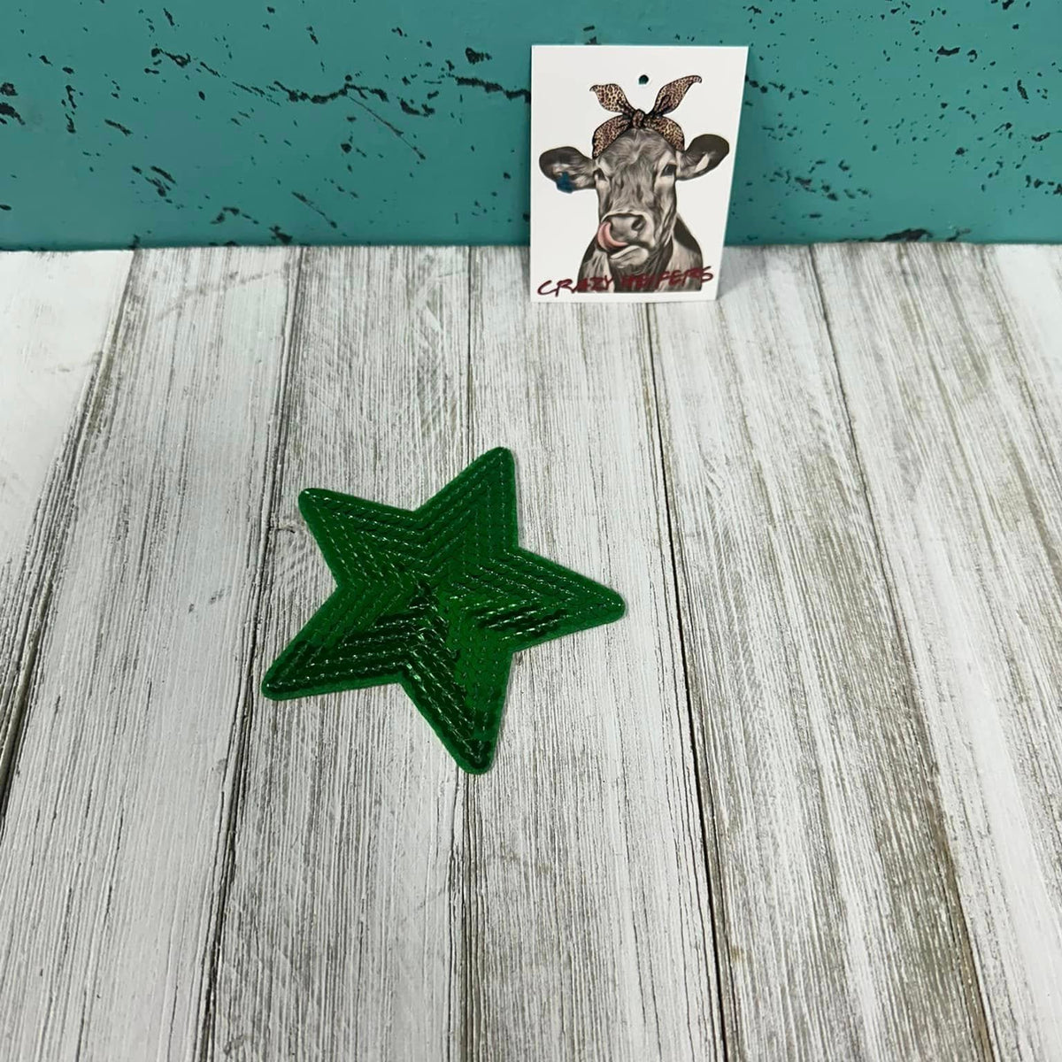 Sequin Patches-Iron on V2