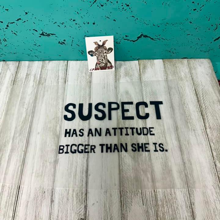 DTF Heat Transfers- Suspect