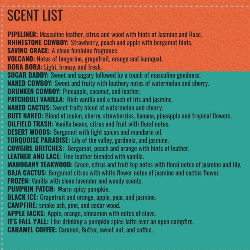 Car Diffuser Bar Starter Kit