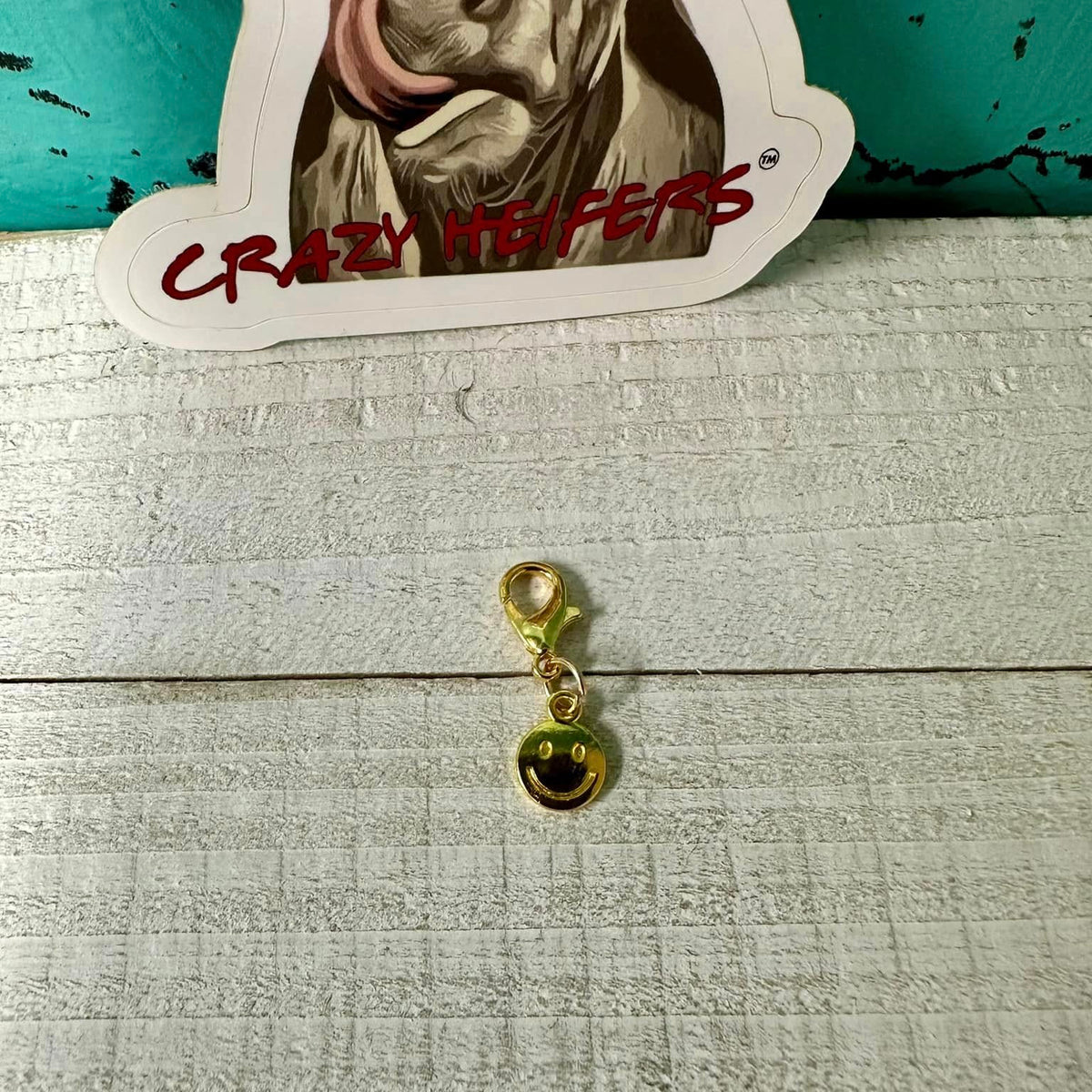 Clip-on Charms Gold and Silver Tone V6