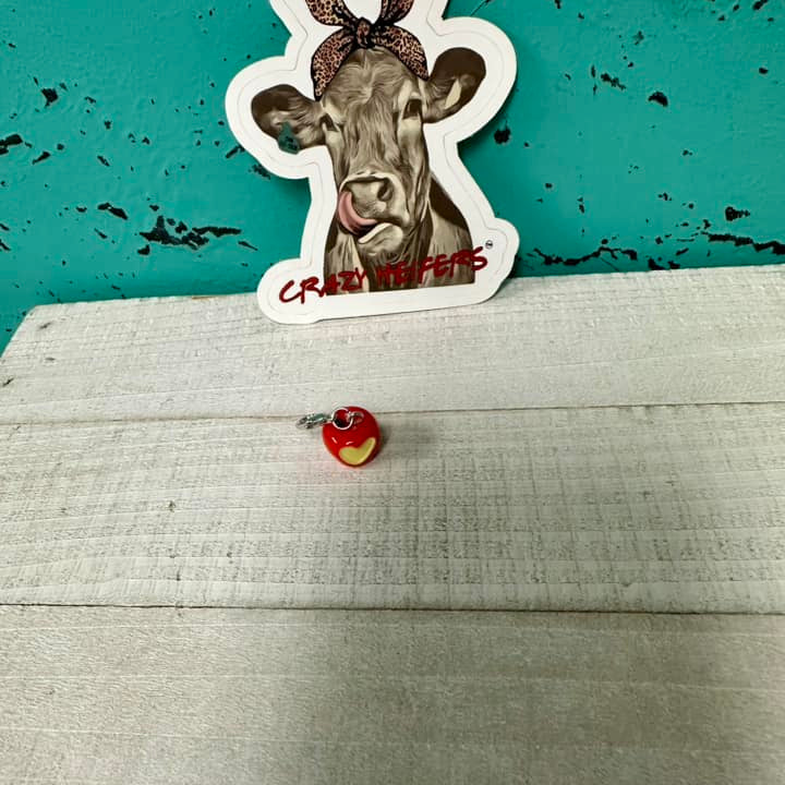 Clip-on Charms Gold and Silver Tone V6