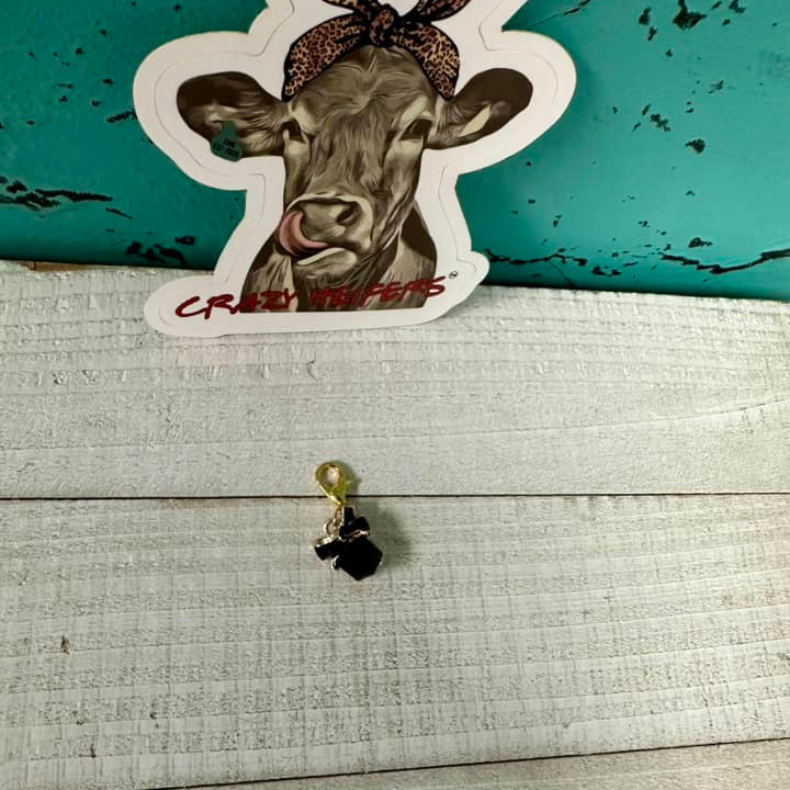 Clip-on Charms-Valentine