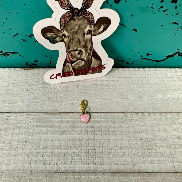 Clip-on Charms-Valentine