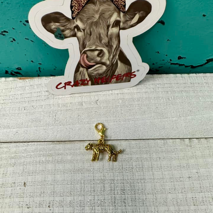 Clip-on Charms Gold and Silver Tone V6