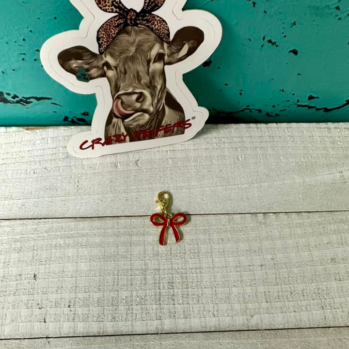 Clip-on Charms-Valentine