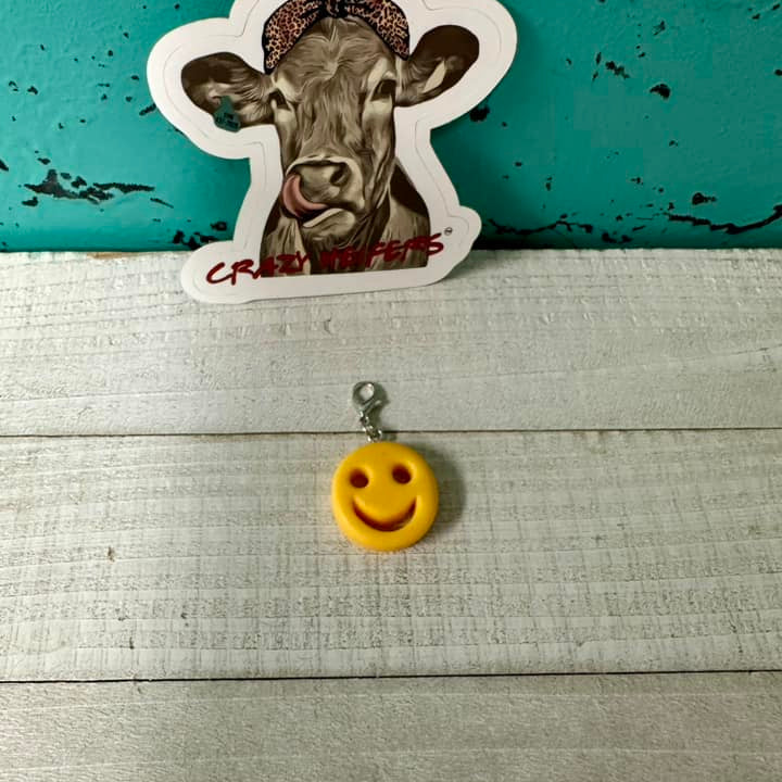 Clip-on Charms Gold and Silver Tone V6