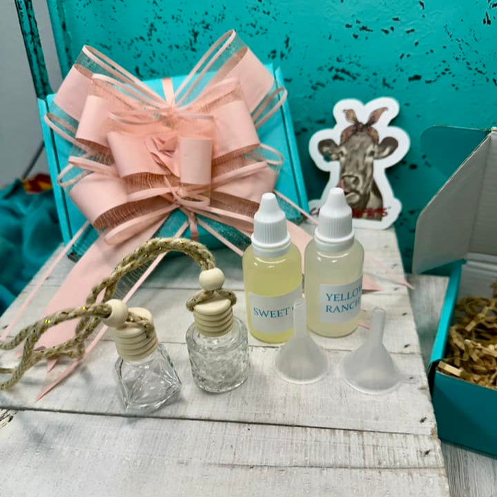 Mini Car Diffuser Kit