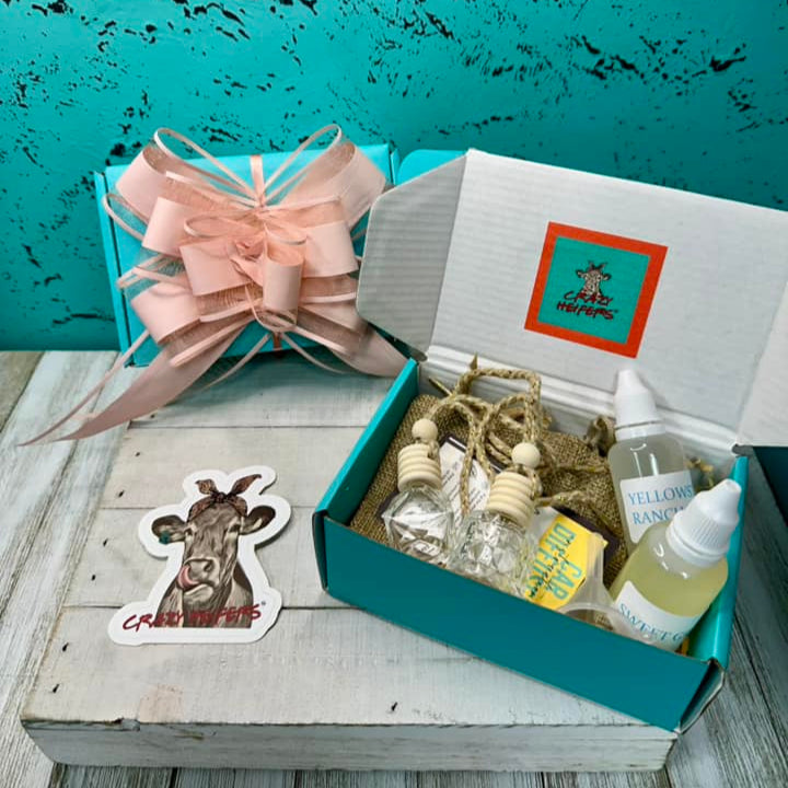 Mini Car Diffuser Kit