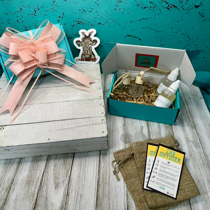 Mini Car Diffuser Kit