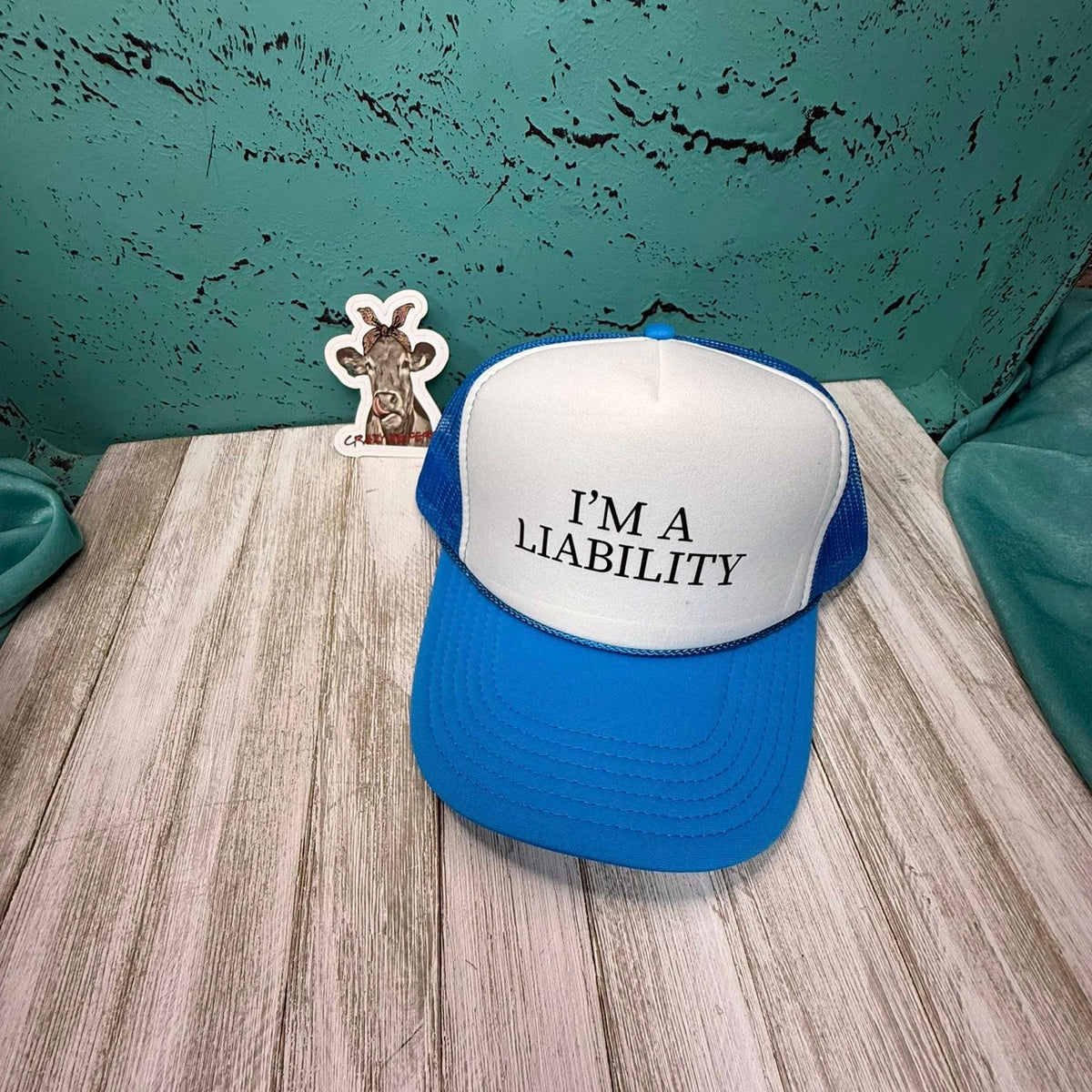 Trucker Hat W/DTF Print-Snarky