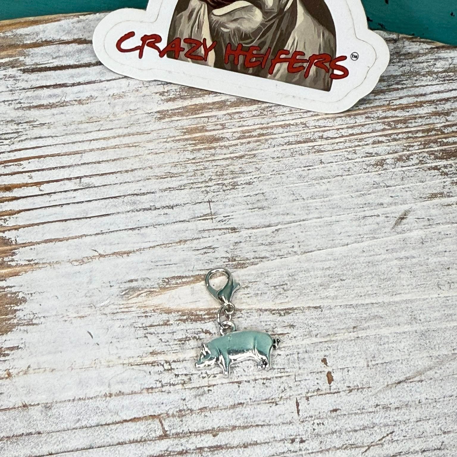 Clip-on Charms Gold and Silver Tone V7